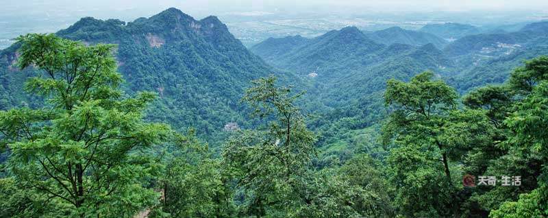 玩青城山要多长时间 青城山景区需要玩多久(图1) 玩青城山要多长时间