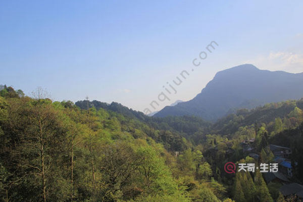 玩青城山要多长时间 青城山景区需要玩多久(图2) 玩青城山要多长时间