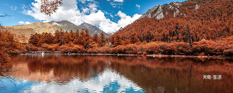 适合旅游发呆的地方 适合旅游发呆的地方有哪些(图1) 适合旅游发呆的地方